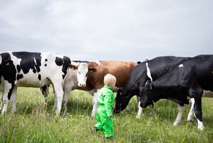 Kinderopvang de Boeren Bazen foto 5