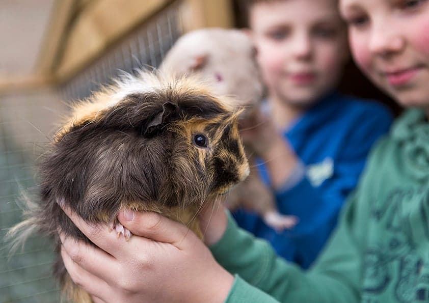 Kindcentrum Villa Vlinderhof foto 9