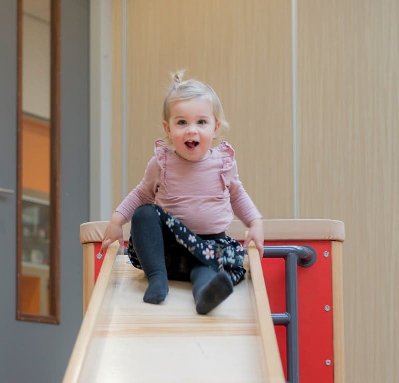 BSO De Palmboom foto 4