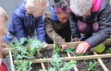 Kinderdagverblijf Het Ruytertje B.V. foto 6