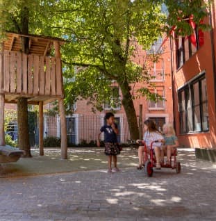 Monkey Donky Speelhuis de Hunze foto 5