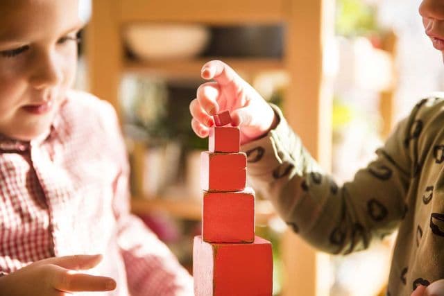 De Bosvlindertjes foto 7