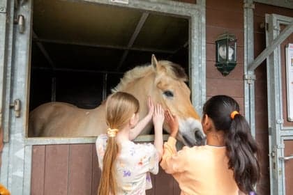 Kidsclub Noordhove foto 7