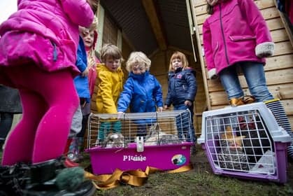 KDV 't Zunneke foto 6