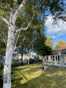 Kindcentrum Olof Palme