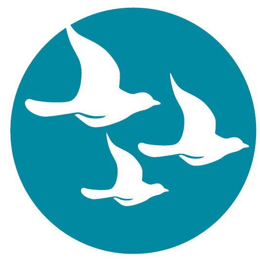 Plateau kdv Theo Thijssen 2