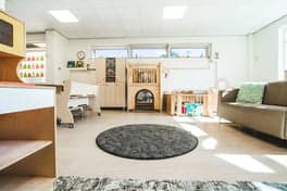 Kinderopvang Babbelbos - Boomhut foto 10