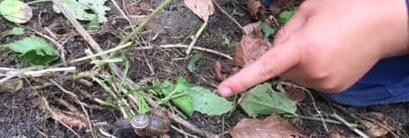 De Boerderijopvang foto 4