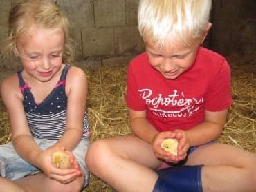 De Boerderijopvang foto 5