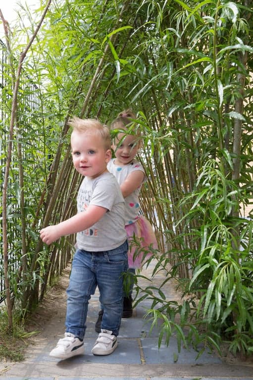 Villa Bab-Belaar foto 4