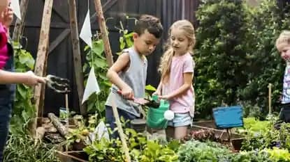 BSO IKC De Edelsteen Sierraadlaan foto 4