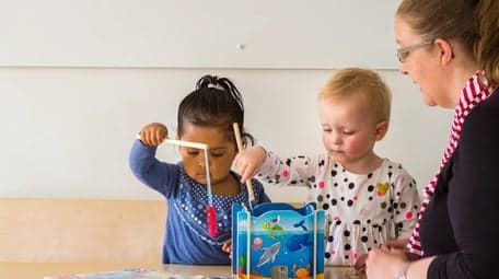 Weespervelden foto 4