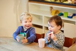 KDV Tierentijn foto 4