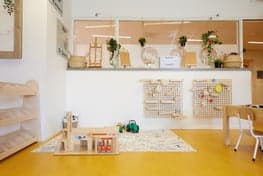 Doomijn BSO Vuurvlinder foto 4