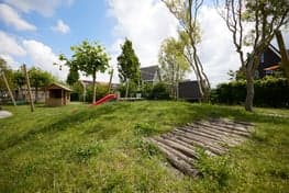 Doomijn BSO Vuurvlinder foto 9