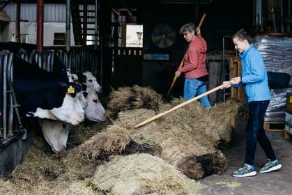 't Hummelhûs Kinderopvang B.V. 3