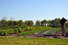 't Hummelhûs Kinderopvang B.V. foto 4