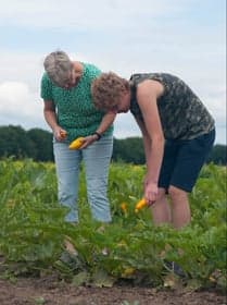 't Hummelhûs Kinderopvang B.V. foto 8