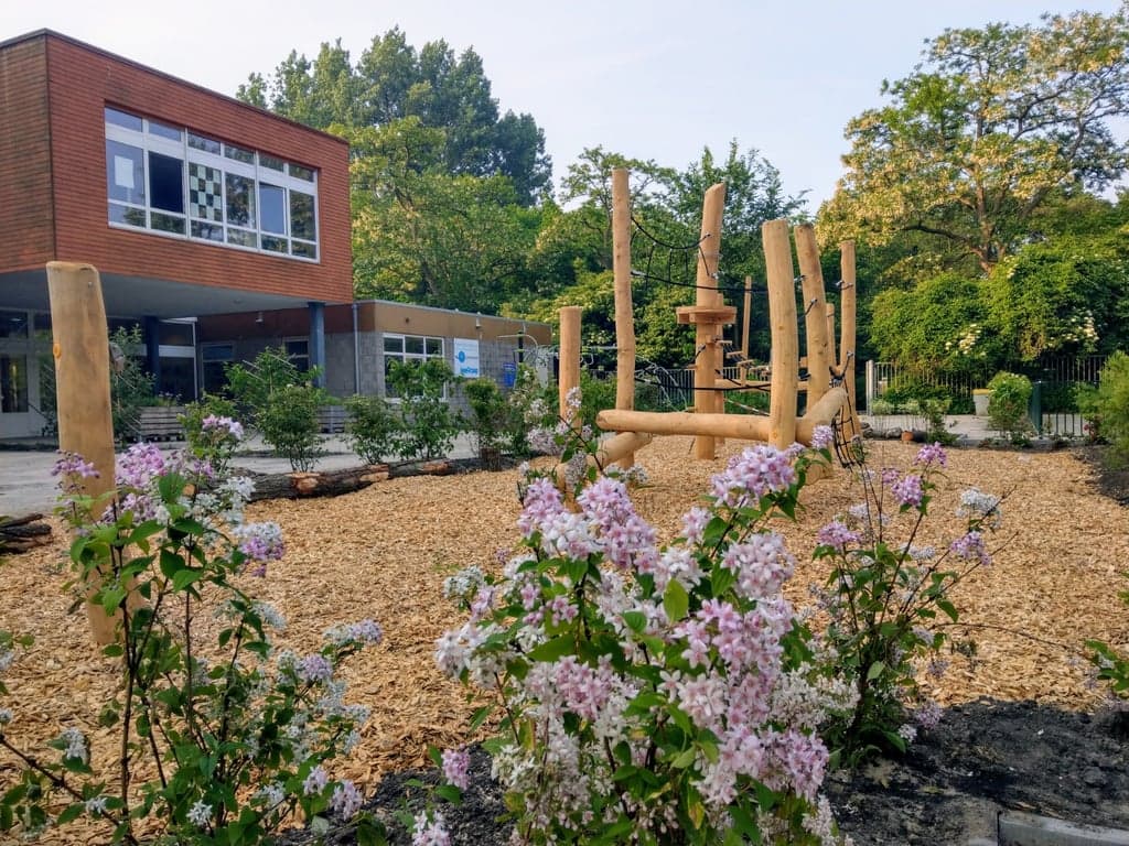 Vespercare - SBO Universum