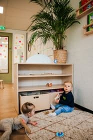 Kinderdagverblijf De Vlieger foto 4