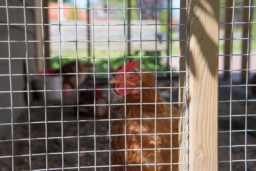 Ska Kindcentrum Starlight foto 9