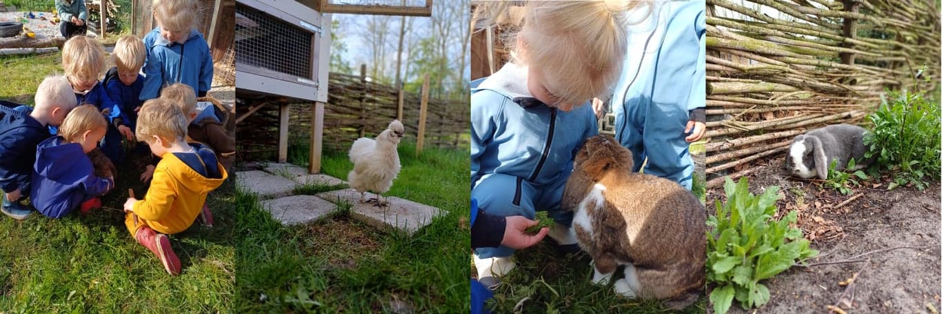 Eigen&Wijzer KDV JKC De Opbouw foto 6