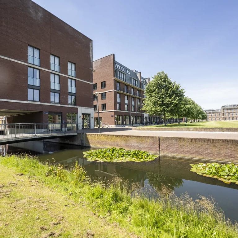 CompaNanny Ripperda II