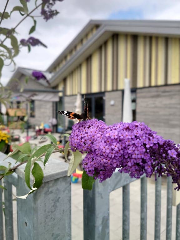 Christelijk kinderdagverblijf De Regenboog foto 8