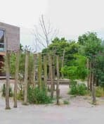 Kleine Sterren foto 6