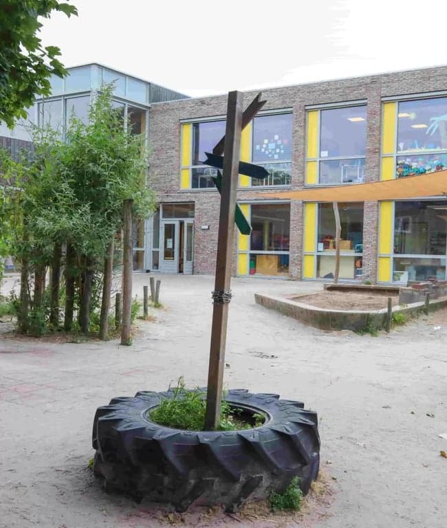 Kleine Sterren foto 7