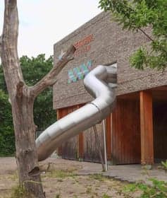 Kleine Sterren foto 9