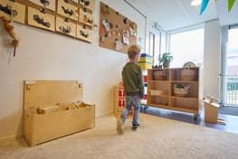 Doomijn PSZ Meidoornstraat foto 6