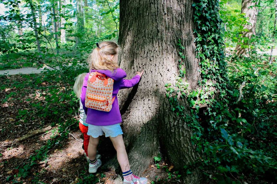 Amelis Buiten - Frans Halsstraat 2