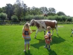 2Vleermuizen foto 10