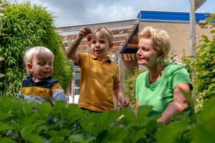 Wiedewei Paddewei Barendrecht 3