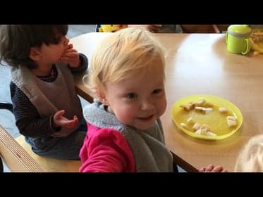 Wiedewei Paddewei Barendrecht foto 10