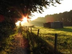 't Krielhûske foto 7