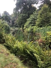 CompaNanny Holleweg foto 5