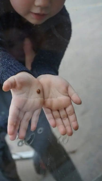 Peutercentrum Het Kabouterbos foto 4