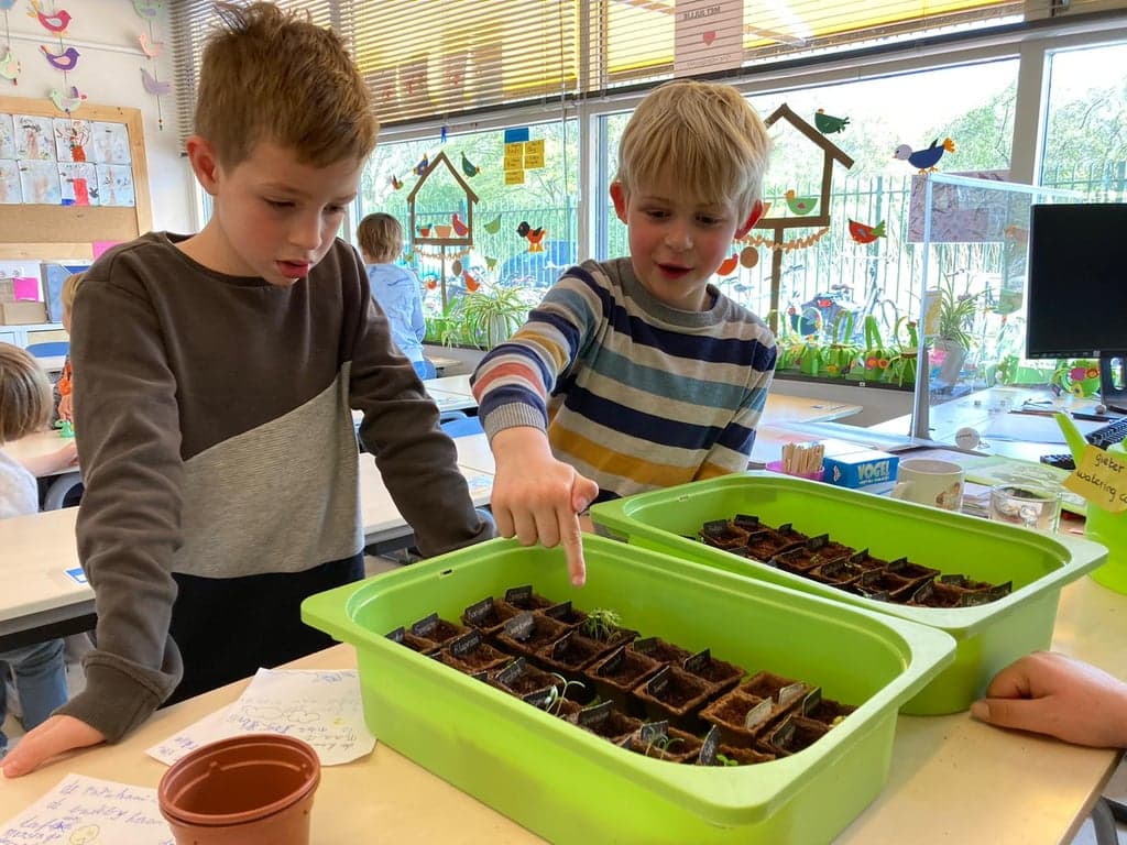 BSO De Heijberg foto 7