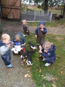 Kinderopvang De Wielenweide B.V.