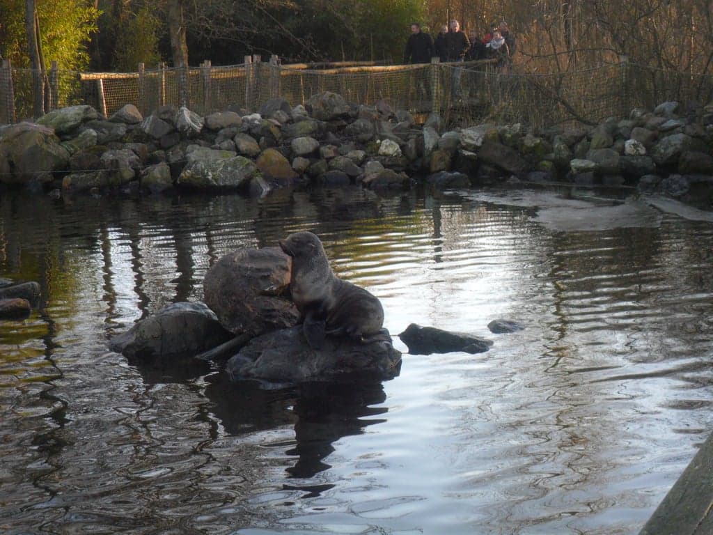 Kinderopvang De Wielenweide B.V. foto 9