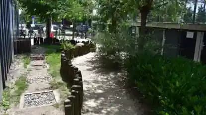 Het Kievitsnest foto 5