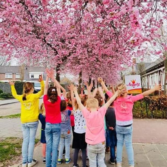 de Kinderkroon foto 6