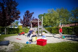 Doomijn KDV Betelgeuze foto 9