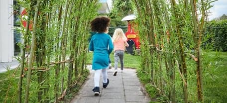 Doomijn KDV Betelgeuze foto 10