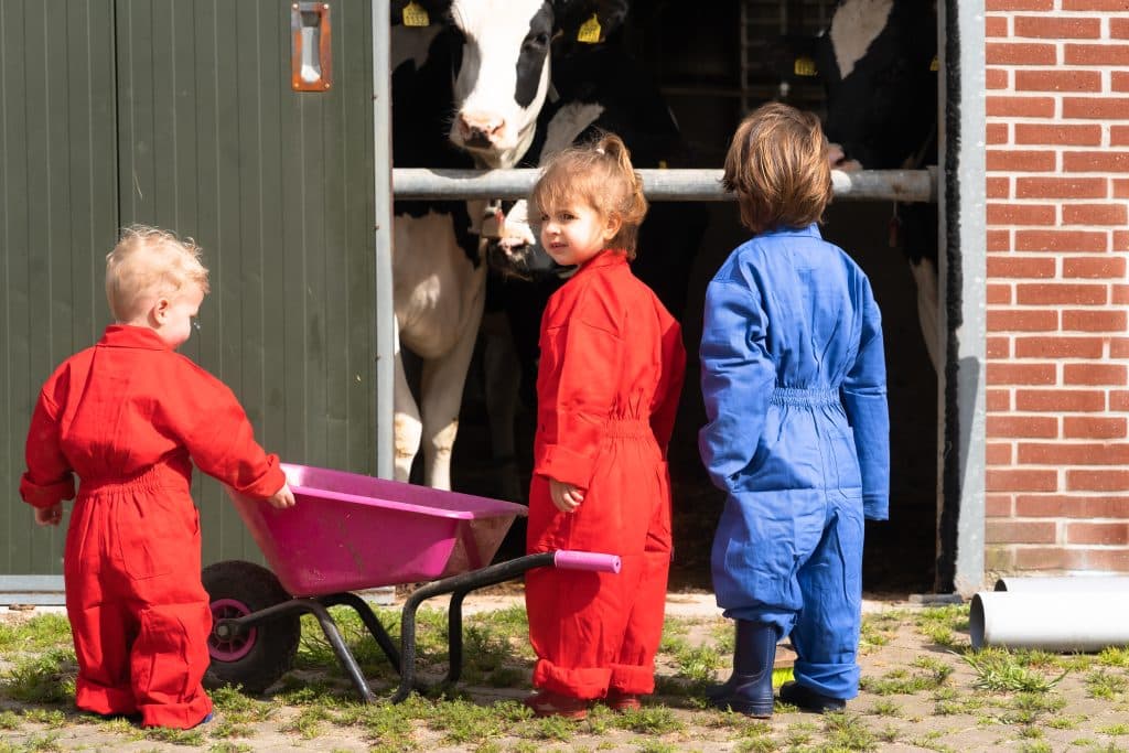 Joepie Boe Kinderopvang B.V. foto 4