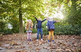 De Wichelroede OB (bovenbouw) foto 6