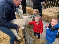 Kindercentrum Kruimeltje foto 9