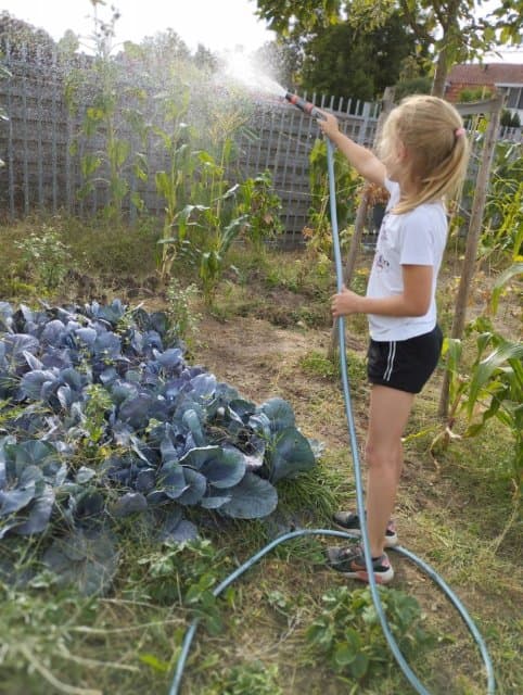 BSO De Troonkamer foto 5
